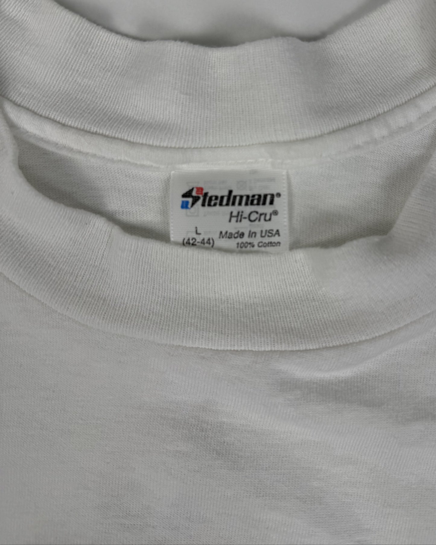EASTERN MICHIGAN 90’s UNIVERSITY T-SHIRT (L)